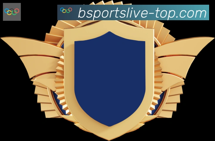 Bsports官网荣誉