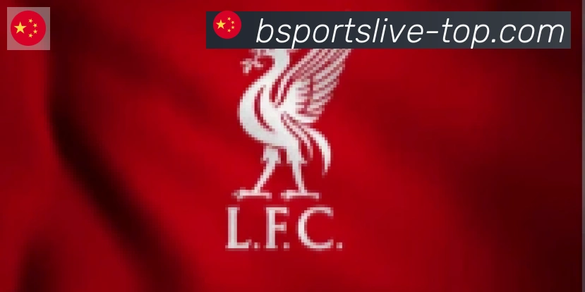 Bsports官网合作伙伴
