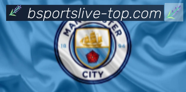 Bsports官网合作伙伴